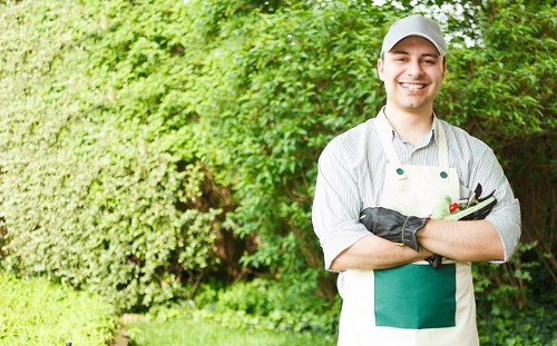 Professional decking maintenance service in Archway