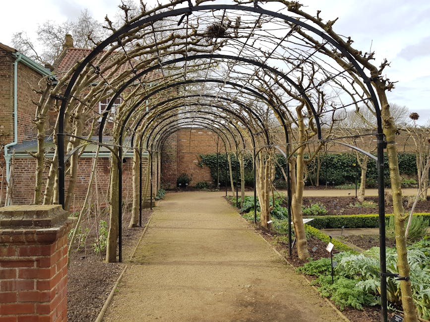 A garden pathway under a metal archway structure with a curved, open framework supporting pruned, leafless vine branches. The pathway is composed of compacted soil or gravel, bordered by low wooden ed