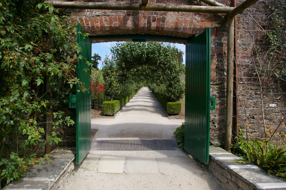 A garden pathway under a metal archway structure with a curved, open framework supporting pruned, leafless vine branches. The pathway is composed of compacted soil or gravel, bordered by low wooden ed
