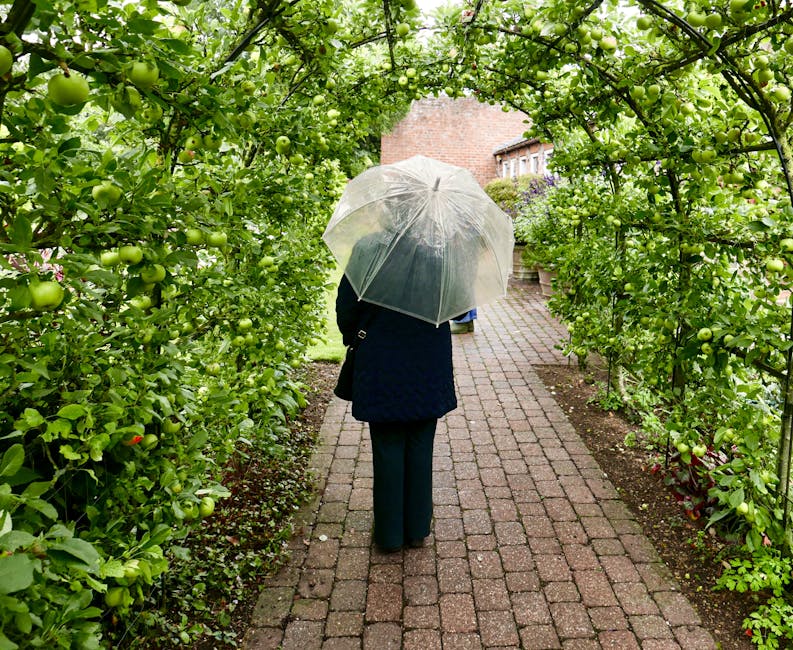 A person walking through a garden archway covered with lush apple trees laden with green fruit. The arch is formed by branches and leaves, creating a natural canopy with bright green foliage. The indi