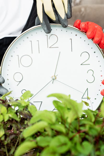 A gardener wearing protective gloves is holding a large, round white wall clock with black numerals and hands, positioned amidst a lush garden scene. The garden features a variety of vibrant green pla